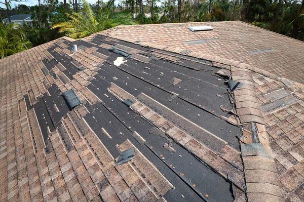 Eco-Friendly Roofing Options for Your Ludlow Home